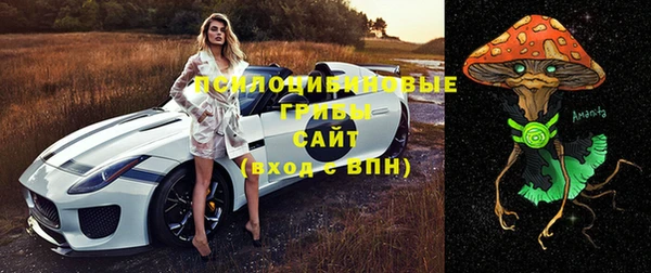 герыч Бронницы