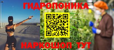 крисы Заводоуковск